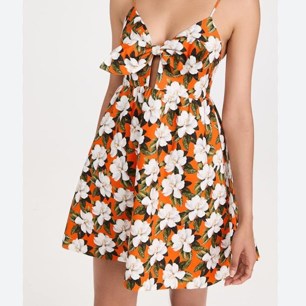 Alice & Olivia mini dress